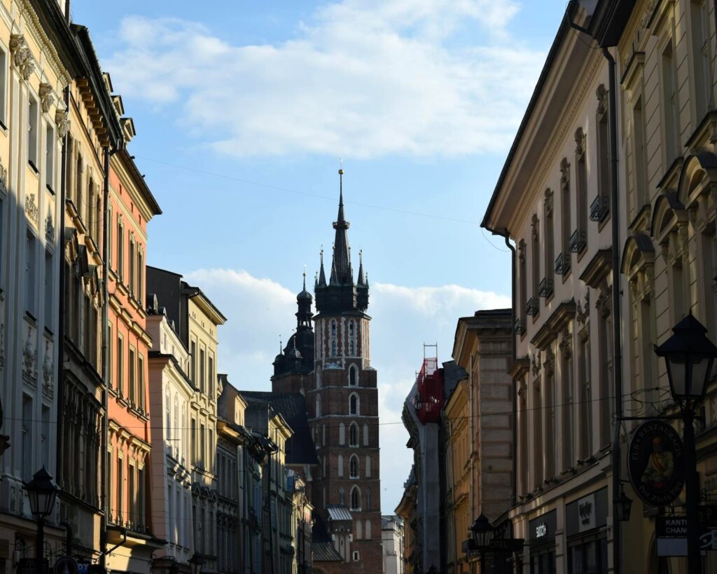 deratyzacja nieruchomości Kraków